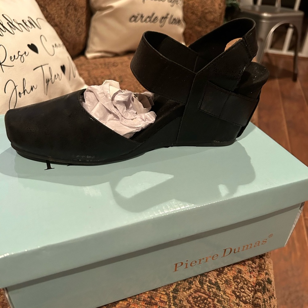 NIB Never Worn Pierre Dumas Mary Jane Shoes